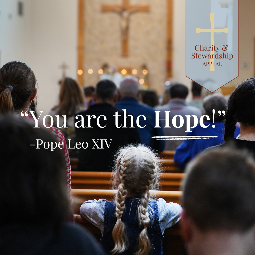 Charity and Stewardship Appeal