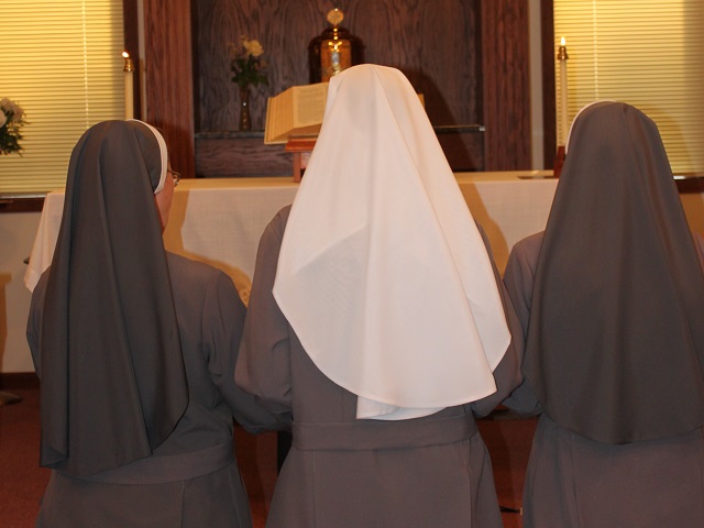 Franciscan Apostolic Sisters