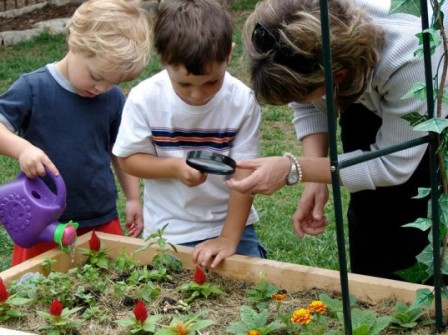 Gardening