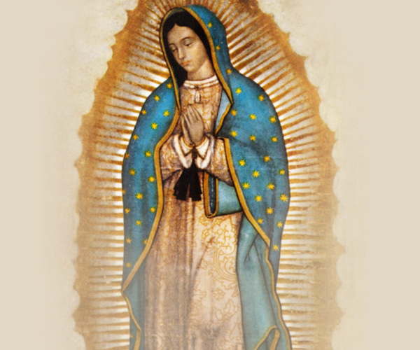 Información / Contacto