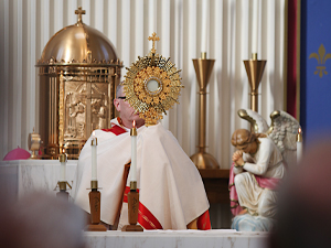 Retreat for men: Preached Spiritual Exercises with Traditional Latin Mass